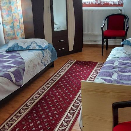 Апартаменти Casa Rodica Ватра-Дорней Екстер'єр фото