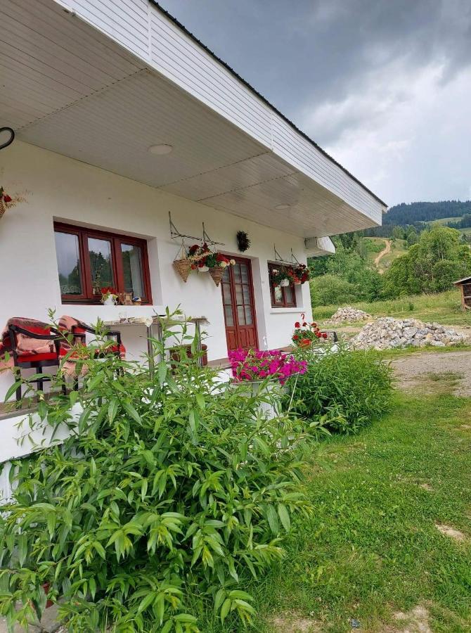 Апартаменти Casa Rodica Ватра-Дорней Екстер'єр фото