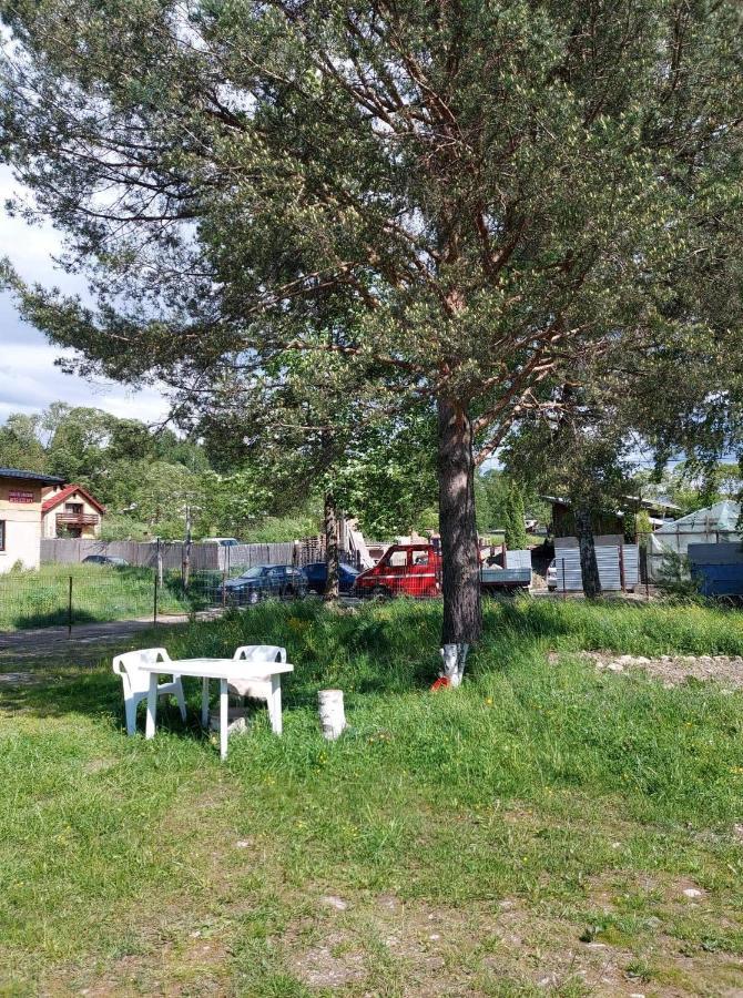 Апартаменти Casa Rodica Ватра-Дорней Екстер'єр фото