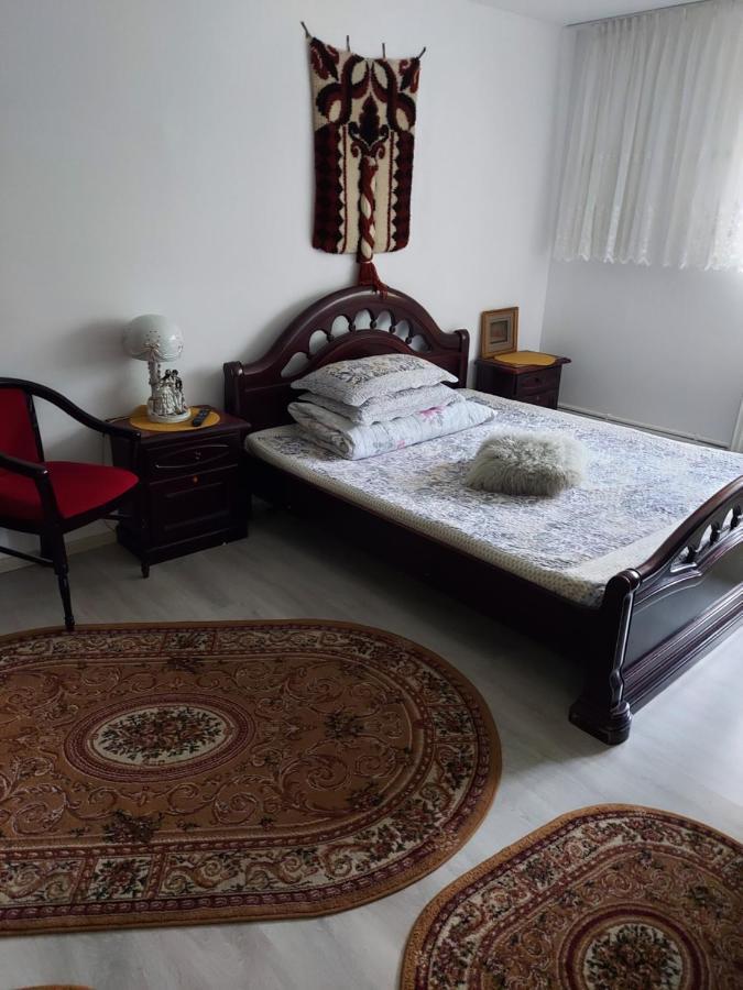 Апартаменти Casa Rodica Ватра-Дорней Екстер'єр фото
